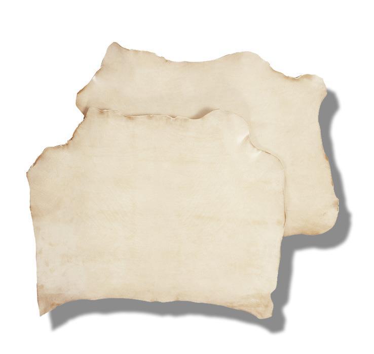 VACHE-HÄLSE FLEXIBEL 