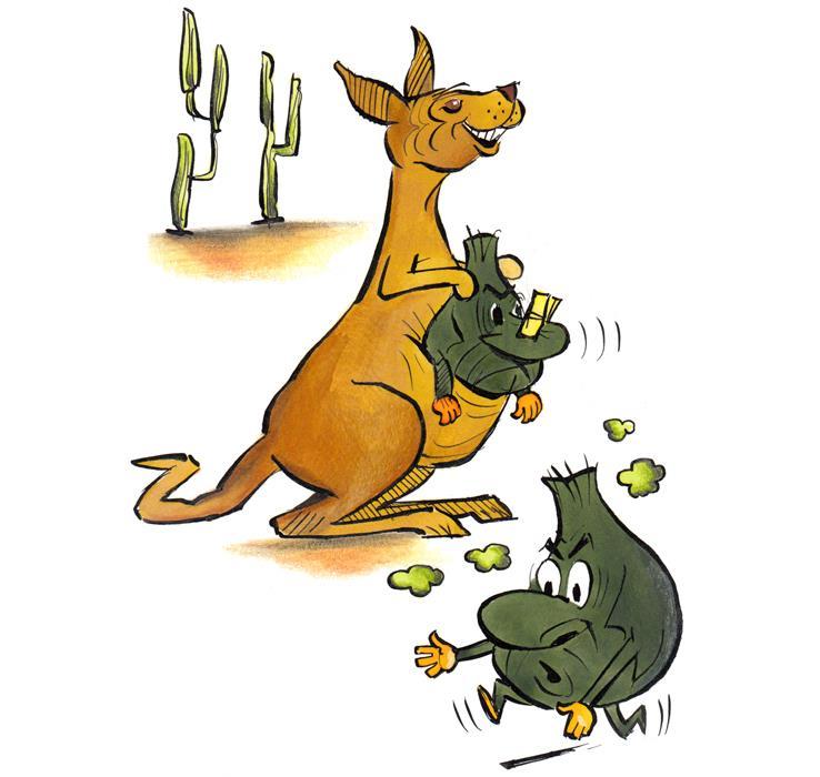 CANGOO - Känguruleder